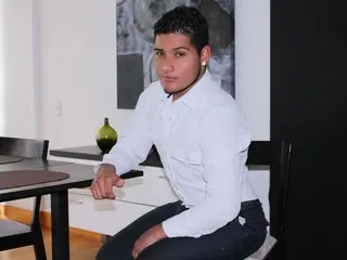 BRUCEnel online